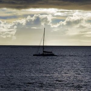 Meet your Posher, Harjit